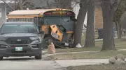 Winnipeg School Bus Crash in City's Northwest Leaves Vehicle Damaged