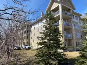 Winnipeg Senior Found Dead in Apartment, Homicide Investigation Launched