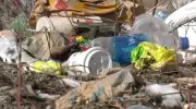 Winnipeg's Litter Index Exposes City's Dirtiest Neighborhoods