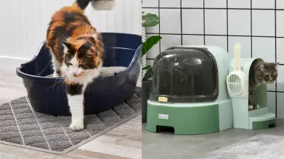 7 Best Products to Stop Cat Litter Tracking in Your Home