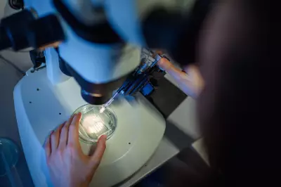 Aging Better: Tech and Chronic Disease Reduction Key to Longevity