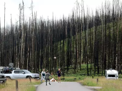 Alberta Wildfire Evacuees Need Better Support, Research Shows