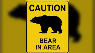 Baby Bear Tranquilized in Canmore After Clash with Mother Elk