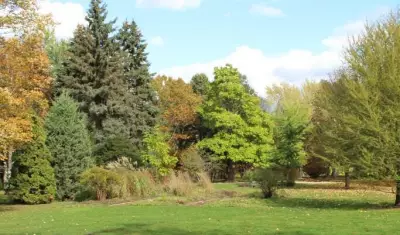 Barrie Nature Weekend Connects Community with Outdoor Well-Being