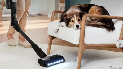 Best Cordless Vacuums in Canada 2026: Top Picks & Buying Guide