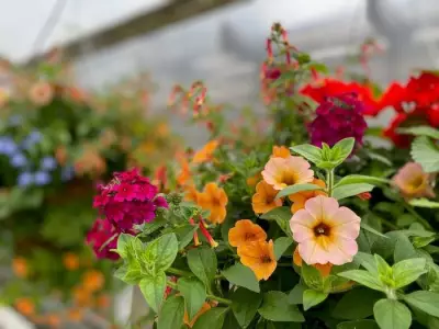 Brian Minter: Mother's Day gifts that connect mom to nature
