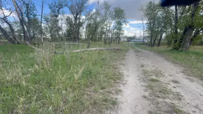 Calgary Humane Society Probes Neglect After Two Dogs Found Dead in Park