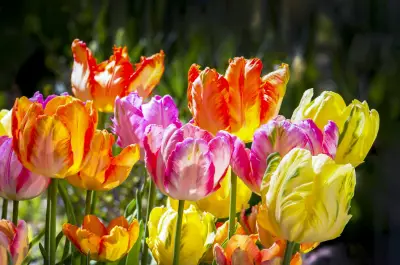Calgary Kicks Off Warm Weather Stretch with Sunny Weekend