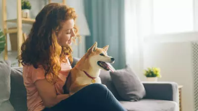 Calgary Partners with Humane Society to Reduce Pet Surrenders by Landlords
