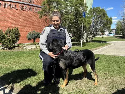 Calgary Peace Officers to Boost Pet Licensing Enforcement This Spring