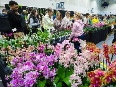 Calgary Weekend: 4-H Parade, Bike Giveaway, Orchid Show, and Rain