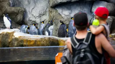 Calgary Zoo Takes Precautions After Bird Flu Confirmed at Nearby Poultry Plant