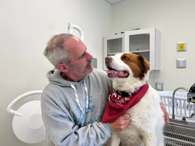 Canadian Animal Blood Bank in Nova Scotia Calls for Dog Donors