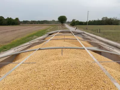 China Commits $17B Annually to U.S. Agriculture Through 2028