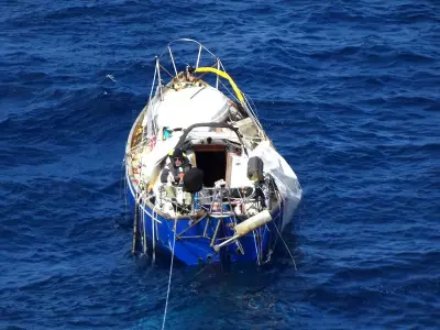 Cruise ship rescues solo sailor in dramatic Pacific Ocean operation