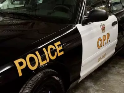 Driver charged after child seen leaning out window in Kitchener