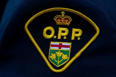Driver in street racing on Hwy. 401 hits person on shoulder in Mississauga