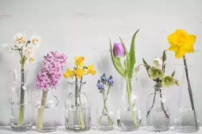 Embrace Spring with 5 Floral Canadian-Made Products