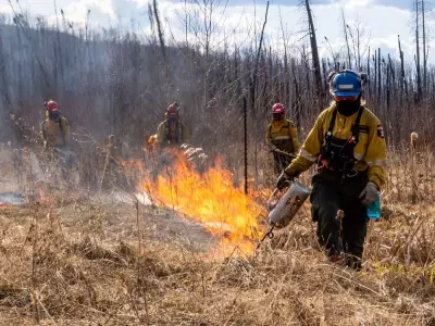 Evacuation Alert Issued as Wildfire in Clearwater County Exceeds 1,000 Hectares
