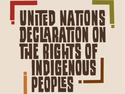 First Nations stalling small projects, sidelining other stakeholders: Kennedy-Glans