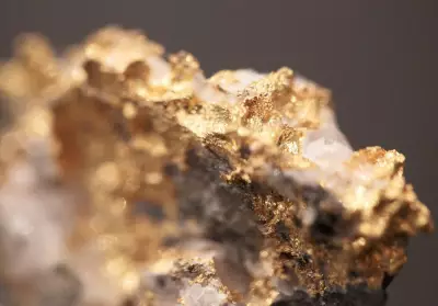 Former Mining CEO Charged with Fraud Over Gold Estimates in Northern Ontario