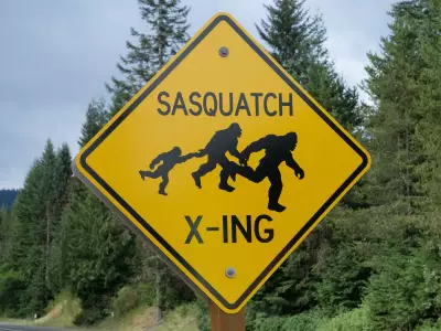 From Monkeys to Bigfoot: Bizarre Securities Where Billions Vanished