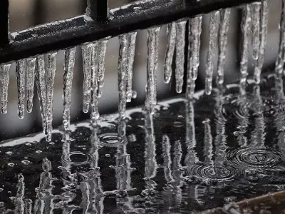 Frost Advisories Issued for Parts of GTA and Southern Ontario on May 11