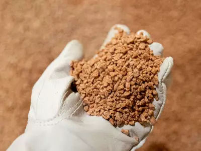 Germany Identifies U.S. Potash Vulnerability Amid Greenland Tensions