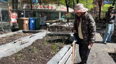 Groups Push to Preserve Unique Indigenous-Asian Garden in Montreal's Chinatown