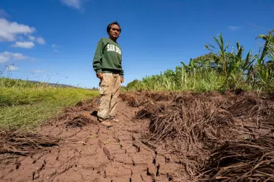 Hawaii's Worst Flooding in 20 Years Devastates Farms, Reducing Vegetable Supply