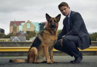 'Hudson and Rex' brings back John Reardon after fan outcry for Season 9