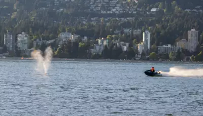 Jet Skier Strikes Grey Whale Off Vancouver Coast, Police Say