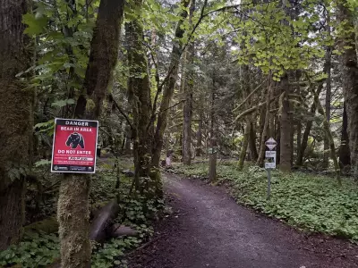 Jogger Attacked by Black Bear on Squamish Trail, Officers Warn Public