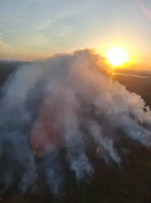 Lobstick Wildfire in Saskatchewan Calmer but Still Raging, Forcing Evacuations
