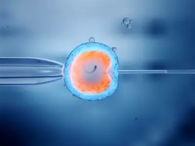 Male Infertility Linked to Higher Colon and Thyroid Cancer Risk: Study