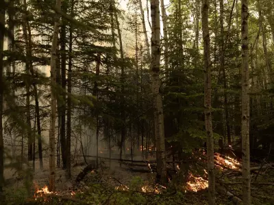 Man pleads guilty to arson in Weyakwin wildfire, sentencing set for May 7