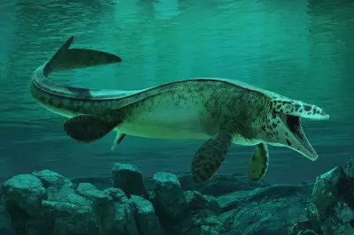 Massive marine predator crowned T. rex of the ocean and ‘a true terror of its time’