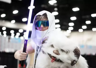 May the 4th: Why Star Wars Films and Shows Endure with Fans