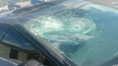 Mother Struggles After Inflatable Display Damages Car in Windstorm