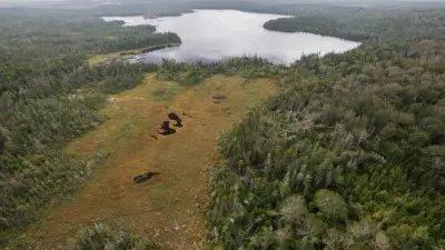 New Nature Reserve Announced in Nova Scotia's Digby County