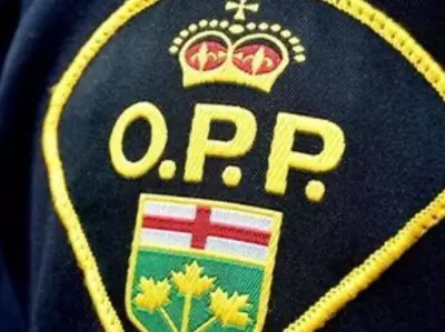 North York Man Dies in Garbage Truck Rollover on Highway 401