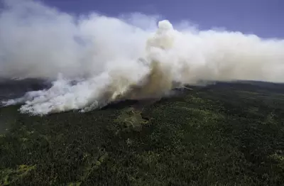 N.S. Wildfire Extinguished After Nearly 10 Months