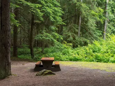 Ontario Judge Bans 11-Year-Old Girl from Nudist Camps Over Safety Concerns