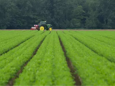 Opinion: Mother's Day Not All Celebration for B.C. Farm-Worker Women