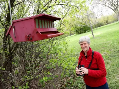 Ottawa Achieves Bird Friendly City Certification After Years of Advocacy