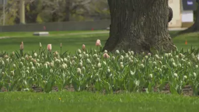 Ottawa Braces for Another Day of Colder-Than-Average Temperatures