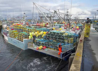 Ottawa Seeks Proposals to Clean Up 'Ghost Gear' in Canadian Waters