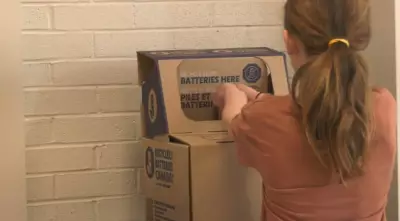 P.E.I. School Wins Sixth Battery Blitz as Recycling Rates Climb Nationwide