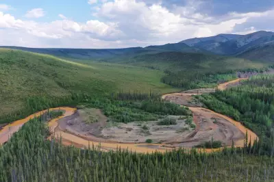 Permafrost Thaw Turns Arctic Streams Orange, Toxic: Study