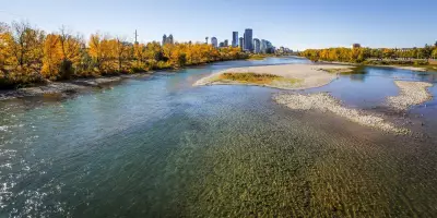 Pig Cadavers with GPS Trackers to Be Placed in Bow River for Search Study